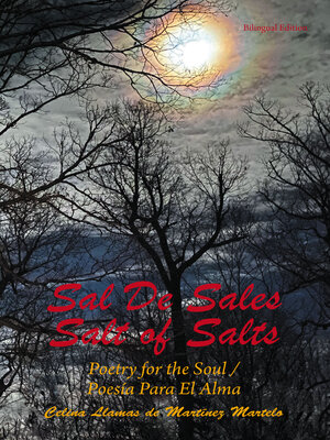 cover image of Sal De Sales